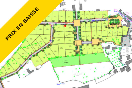 Terrain Le Plant, La Ferrière-aux-Etangs (61)